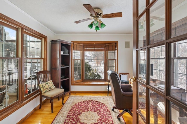 office with ornamental molding, a textured ceiling, and light wood-type flooring