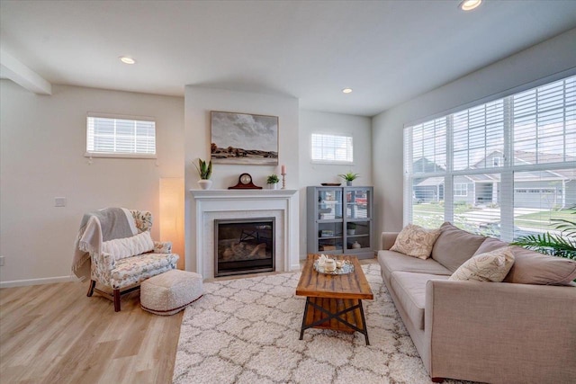 living room featuring light wood-type flooring