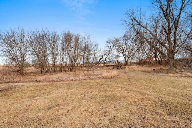 view of yard featuring a rural view