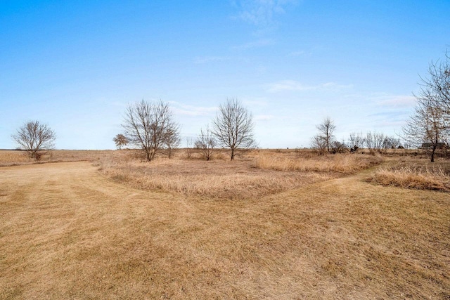 view of yard featuring a rural view