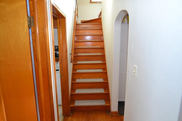 staircase featuring wood-type flooring