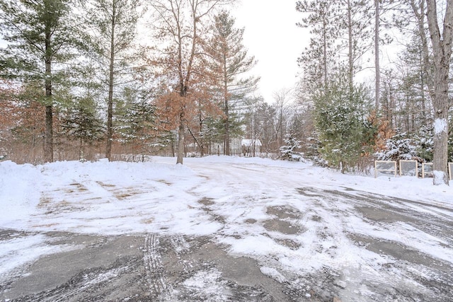 view of snowy yard