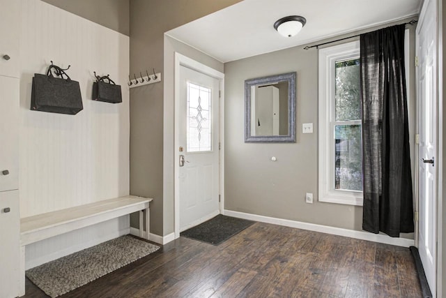 mudroom featuring dark hardwood / wood-style flooring