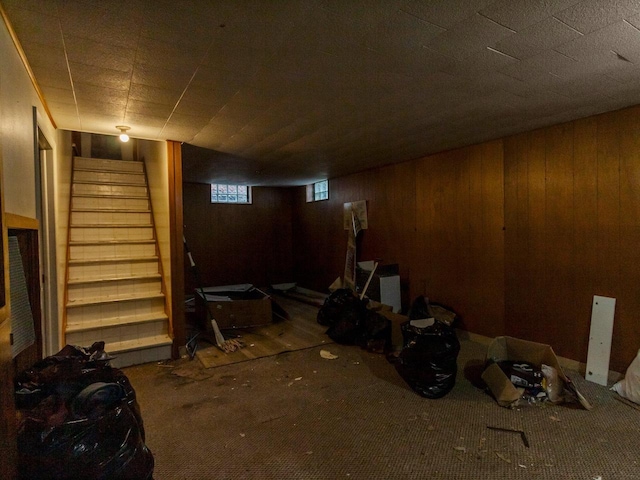 basement featuring wooden walls