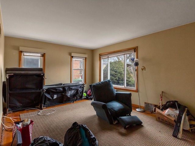 sitting room featuring carpet floors