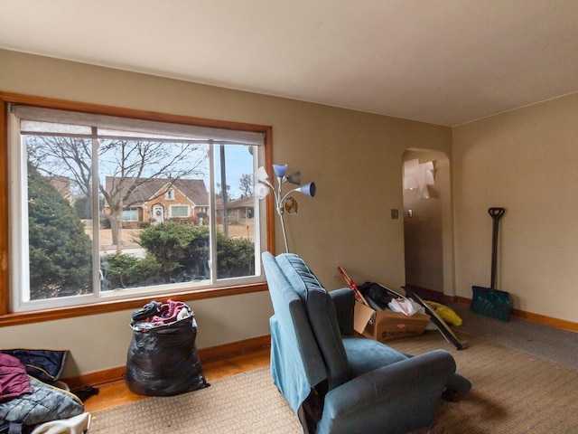 living room with wood-type flooring