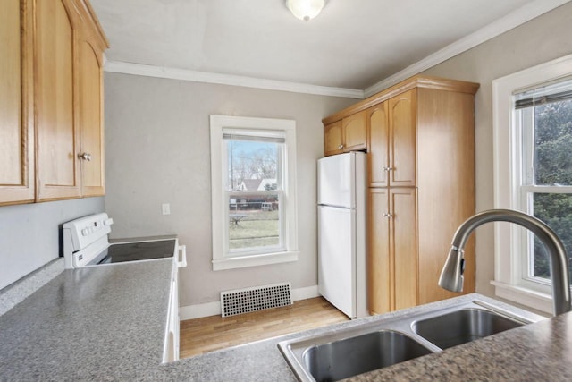 kitchen featuring ornamental molding, sink, light brown cabinets, and white appliances