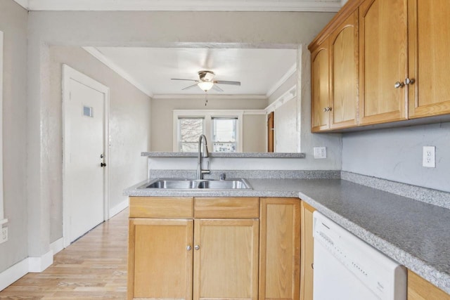 kitchen featuring sink, ceiling fan, white dishwasher, crown molding, and light wood-type flooring