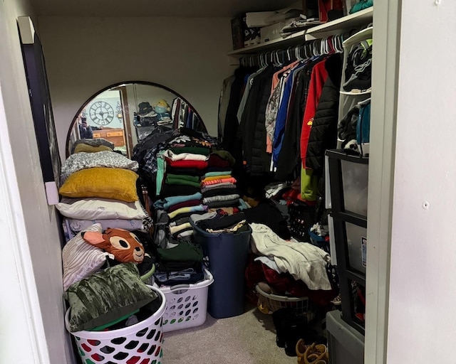 walk in closet featuring carpet