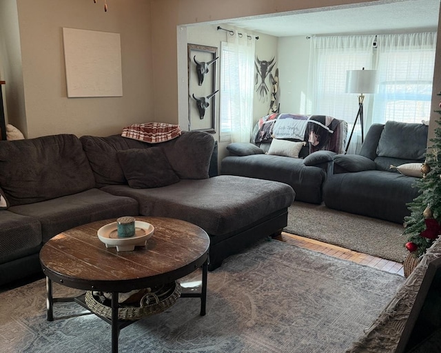 living room featuring hardwood / wood-style flooring