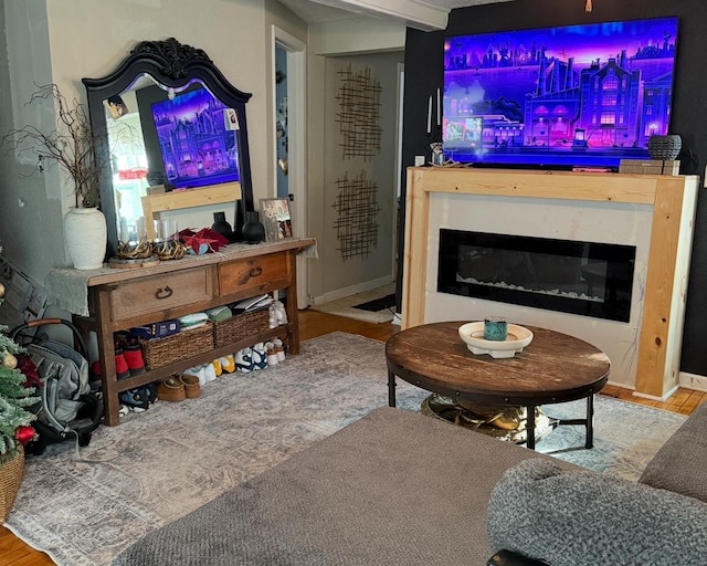 living room with hardwood / wood-style flooring