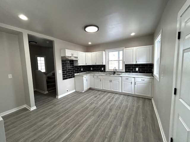 kitchen with white cabinetry, wood-type flooring, and sink