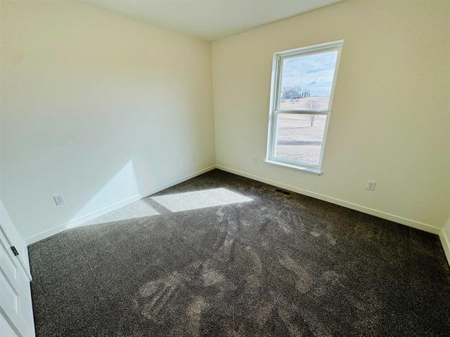 empty room with dark colored carpet