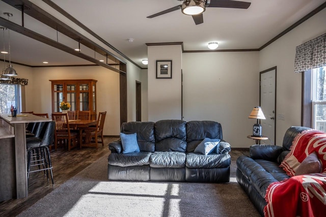 living room featuring ceiling fan and ornamental molding