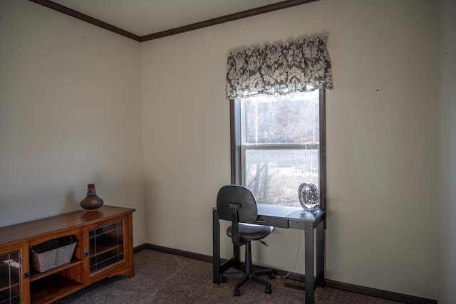 office space featuring crown molding and dark carpet