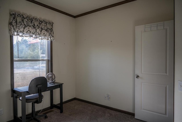 carpeted office with crown molding