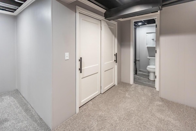 basement featuring light colored carpet