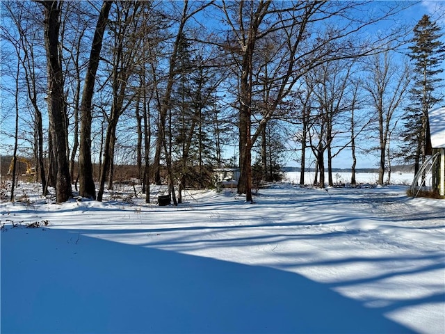 view of yard covered in snow