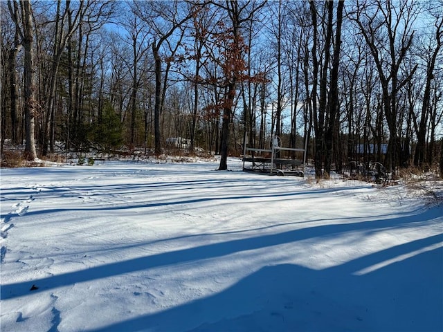 view of yard covered in snow