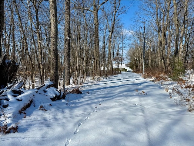 view of yard covered in snow