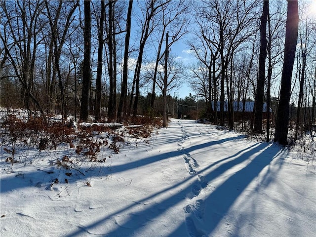 view of snowy yard