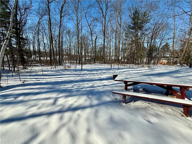 view of yard covered in snow