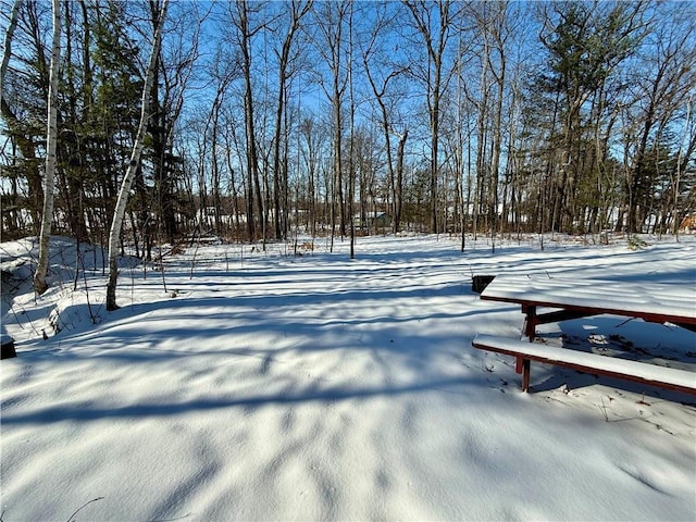 view of yard covered in snow