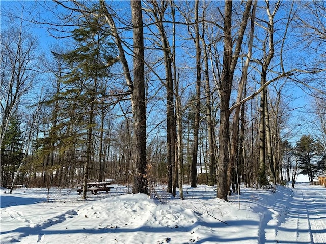 view of yard covered in snow