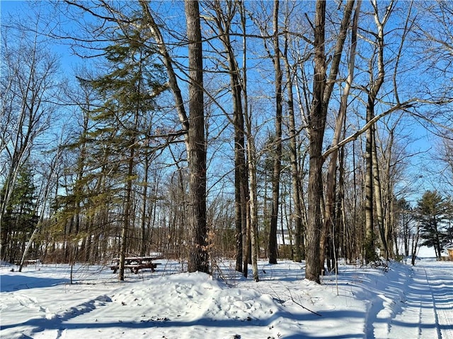 view of yard covered in snow