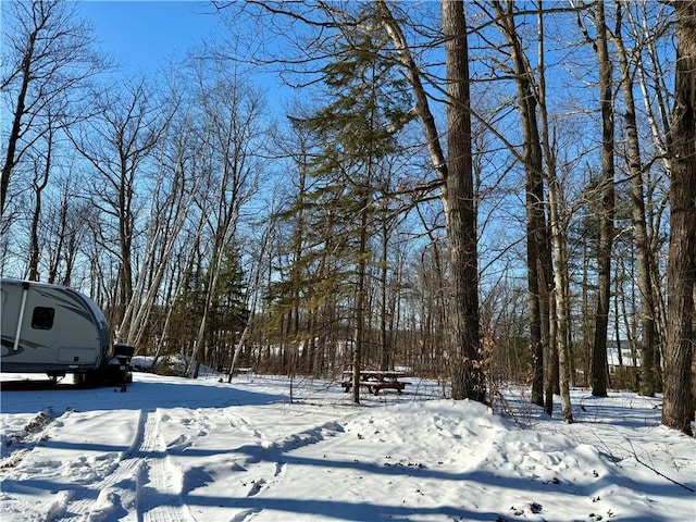 view of snowy yard