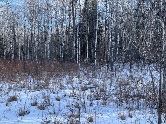 LOT44 Big Cub Trl, Laona WI, 54541 land for sale