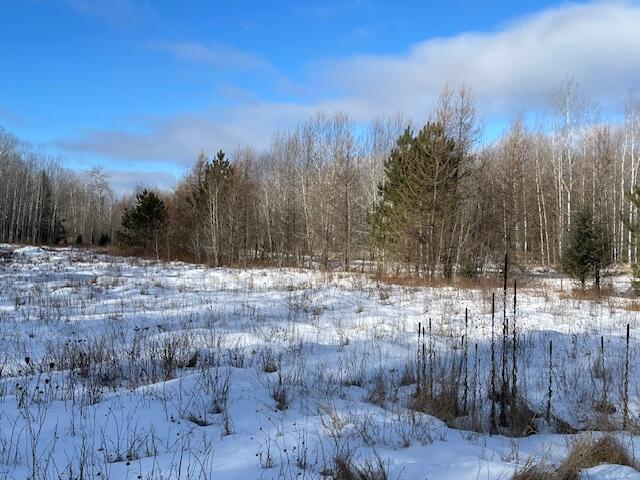 Listing photo 2 for LOT44 Big Cub Trl, Laona WI 54541