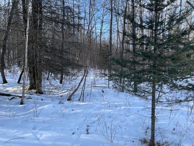 Listing photo 3 for LOT44 Big Cub Trl, Laona WI 54541