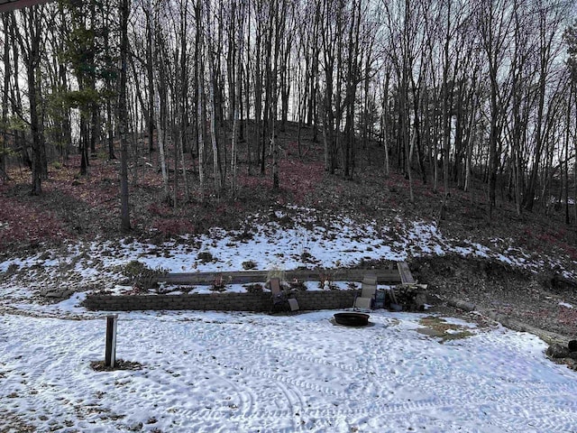 view of snowy yard