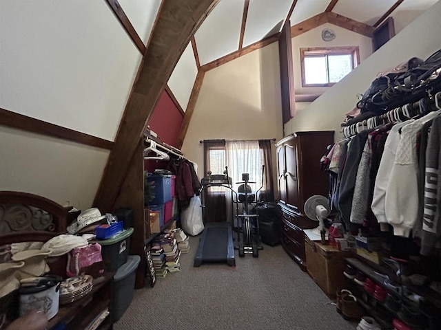 walk in closet featuring high vaulted ceiling and carpet flooring