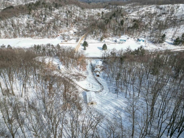 view of snowy aerial view