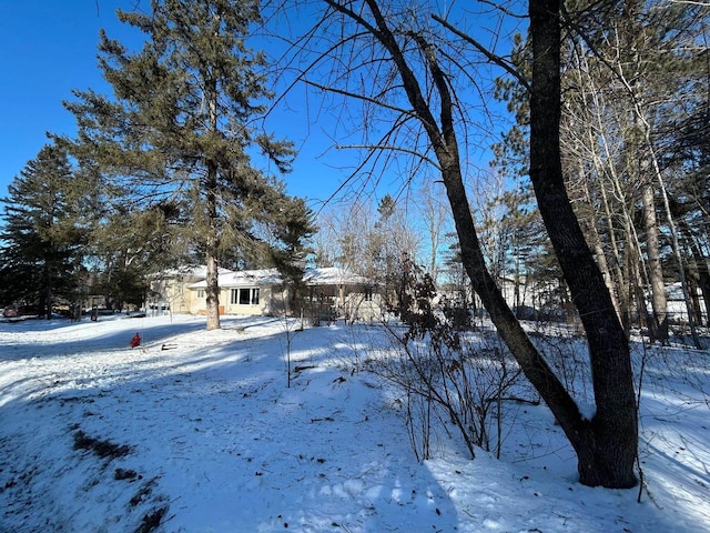 view of snowy yard