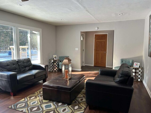 living room featuring dark wood-type flooring and a textured ceiling