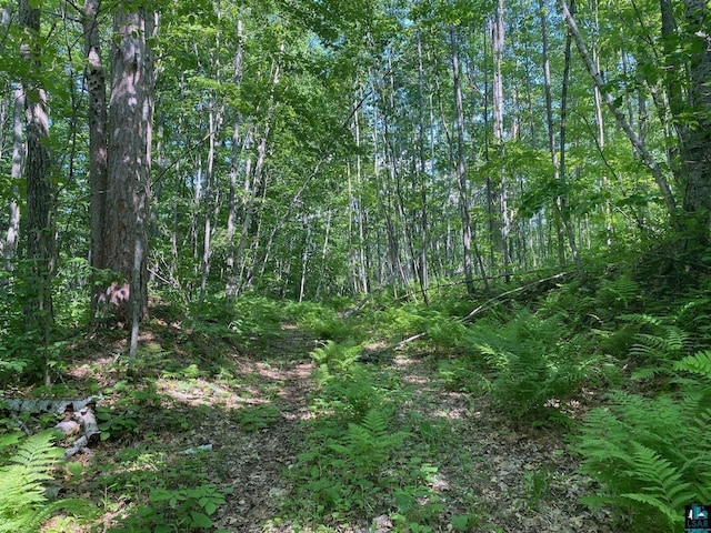 0 Secluded Trl, Hayward WI, 54843 land for sale