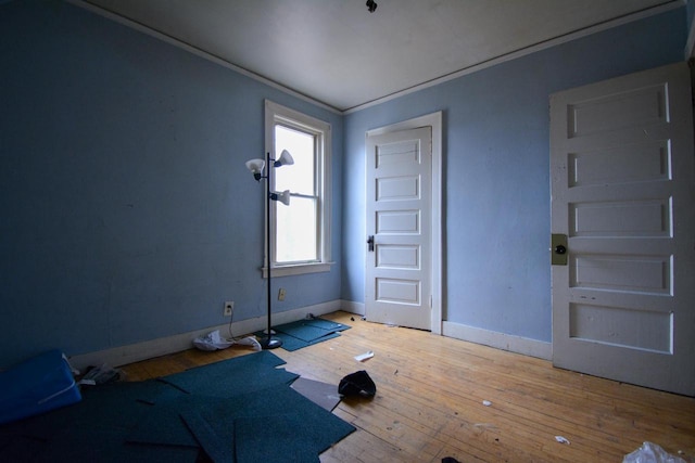 entrance foyer featuring wood-type flooring