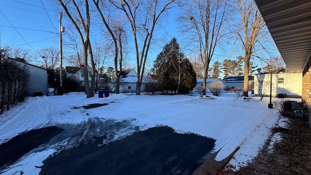 view of yard layered in snow