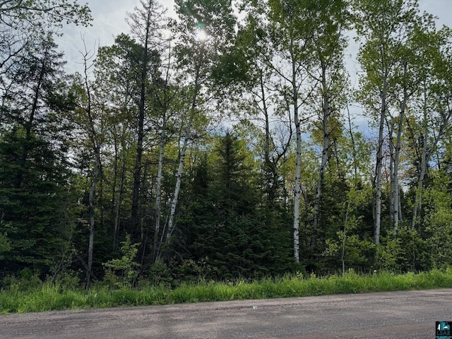 0 Evergreen Rd, Port Wing WI, 54865 land for sale