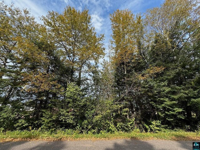 2.59ACRESON School Rd, Port Wing, WI 54865