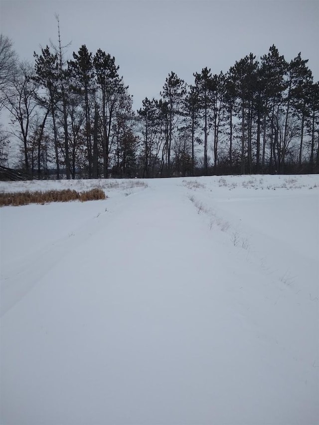 view of yard layered in snow