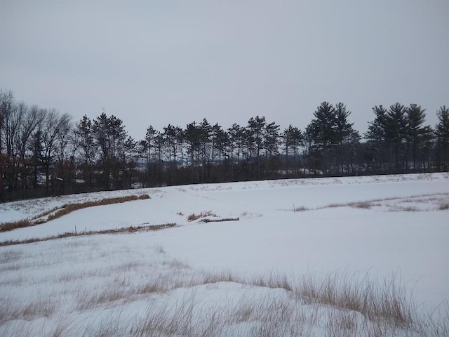 view of yard covered in snow