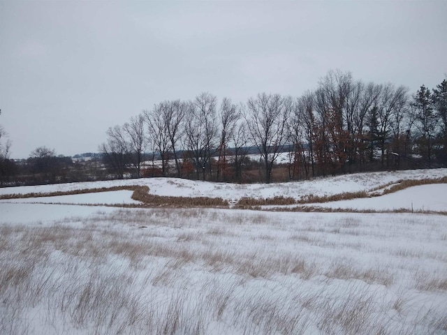 view of yard layered in snow