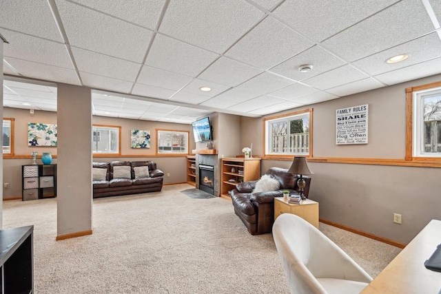 carpeted living room featuring a drop ceiling