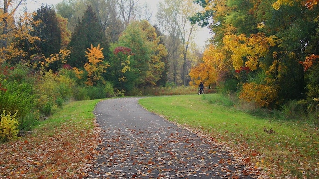 view of road