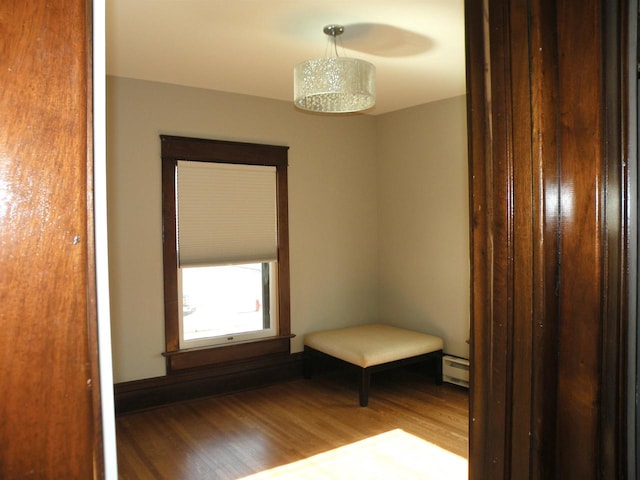 301 W Amelia St, Cassville, WI 53806 - spare room with wood-type flooring and baseboard heating