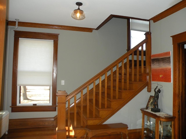 301 W Amelia St, Cassville, WI 53806 - staircase featuring hardwood / wood-style floors, crown molding, and radiator heating unit